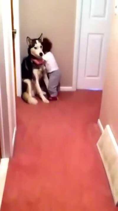 Baby scared of the vacuum, runs to the dog for protection