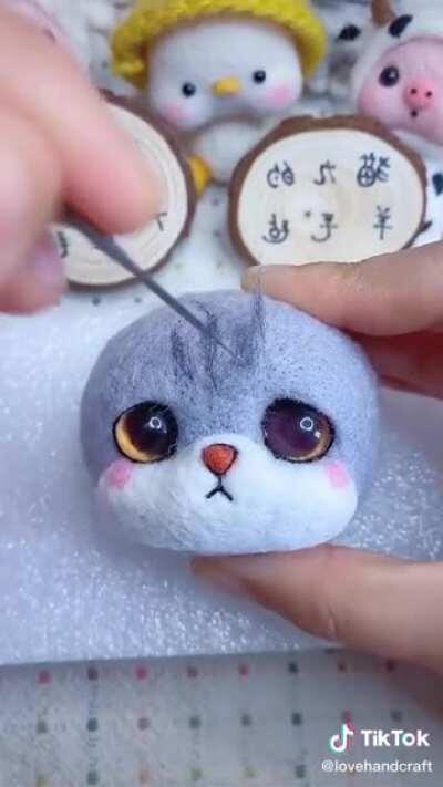 Beautiful peluche time lapse