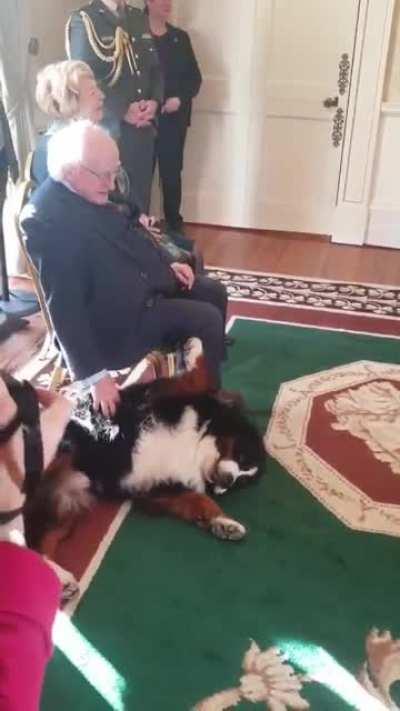 The president of Ireland always has his dog with him