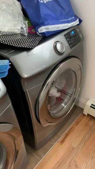 My dryer has started laying down some sick beats