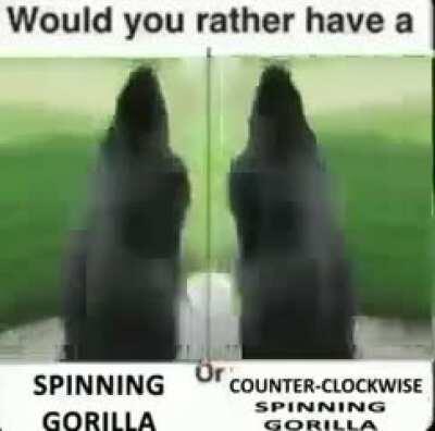 spinning gorilla or counter clockwise spinning gorilla?