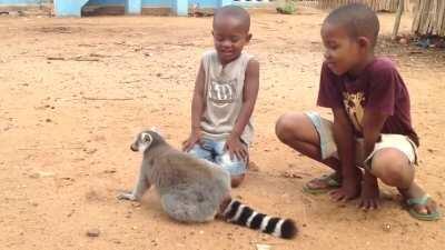 King Julien