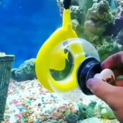 New way of removing a fish from the aquarium