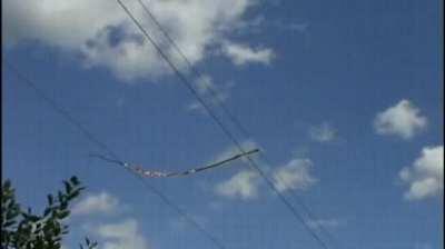 This is what happens when a branch falls onto power lines.