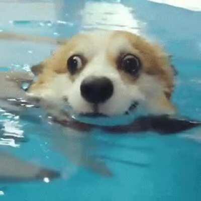 Just learning how to swim