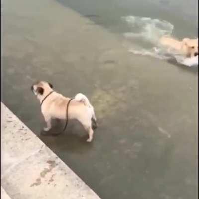 trying to walk on water WCGW