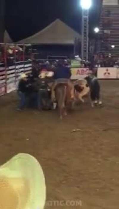 Bull doesn’t like to be ridden