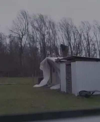 WCGW climbing on shed while there are crazy winds