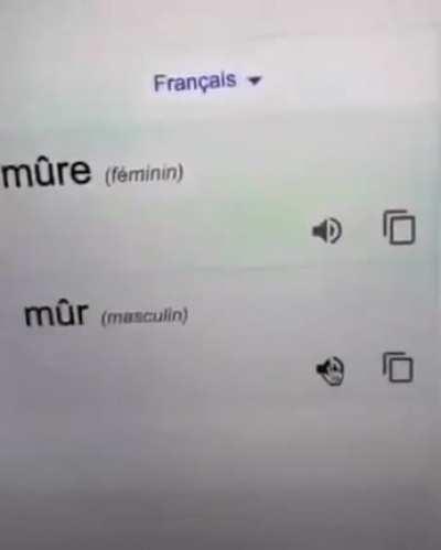 To speak French