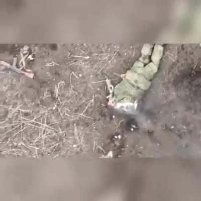 Russian soldier allegedly playing dead allegedly decapitated by a drone dropped grenade