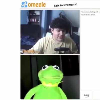 Kermit uses omegle