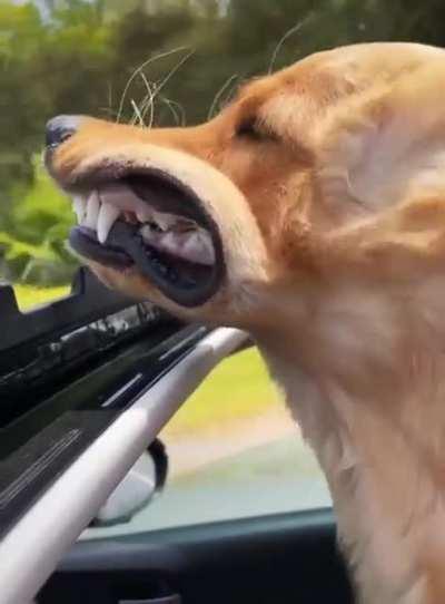 Pretty lady in her droptop