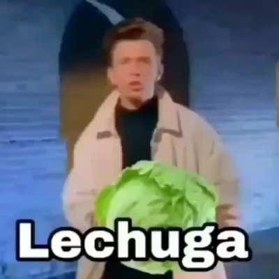 lechuga