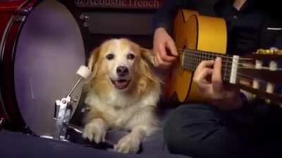 Guy plays The Office theme with his dog on the drums