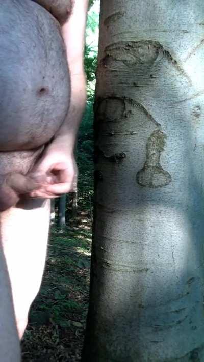 Cock Masturbating Solo told by Miss to find the tree for wankers with small cock