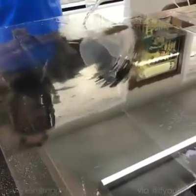 This is how mirrors are made.