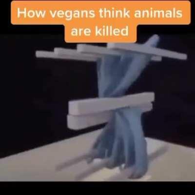 *All the PETA's videos*