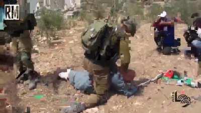 Israeli forces assault a Palestinian elderly for defending his land from confiscation