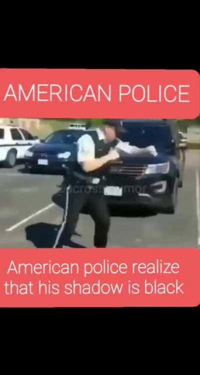 Some american police problems