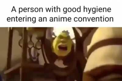 Details more than 66 anime convention memes  induhocakina