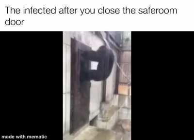 monkey infected