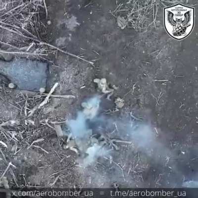 UA drone drops munitions on massive group of russian infantry near the synkivka village in the kharkiv region. 