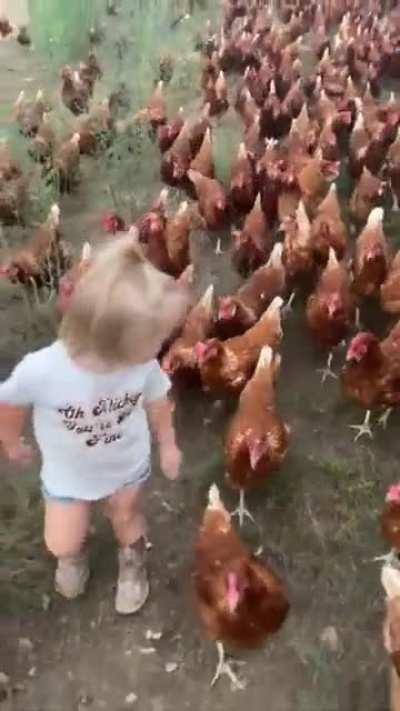 Girl leads her legion of chickens to the pasture