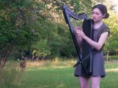 A wild deer gets curious hearing a woman playing 