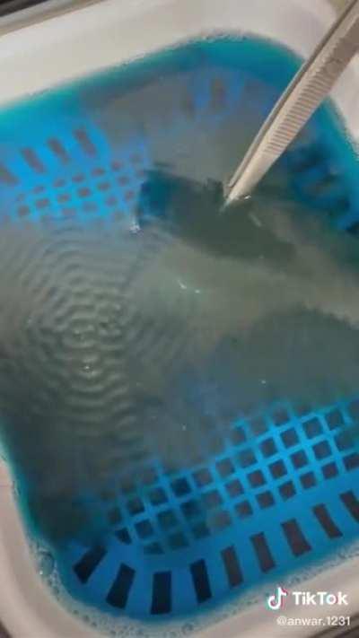 A ring with polishing compound residue cleaned in a ultrasound cleaner.