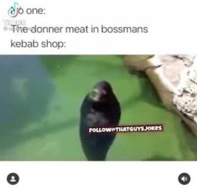 Kebab go spinnnn