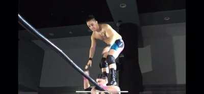 Wrestler botch leads to bad landing