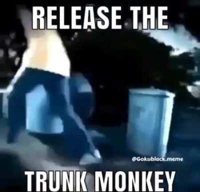 Truck monkey