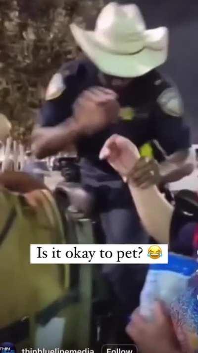 Is it okay to pet?