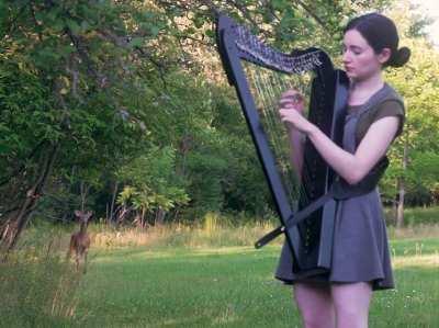 Harp session attracts the local wildlife