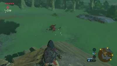 A little new to the game, but I thought killing a Bokoblin with his own rock was pretty neat.