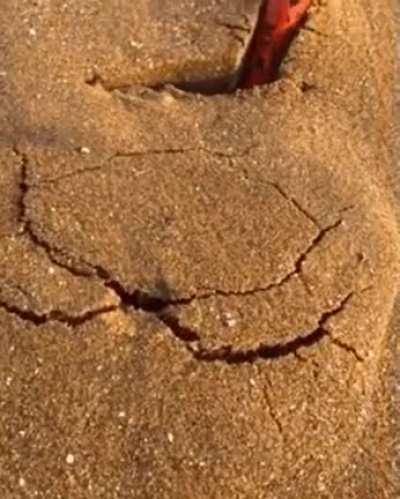 She decided to look under the beach sand.