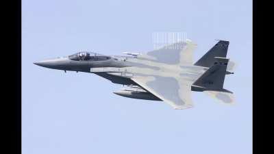 missile Guidance System roasts F15 