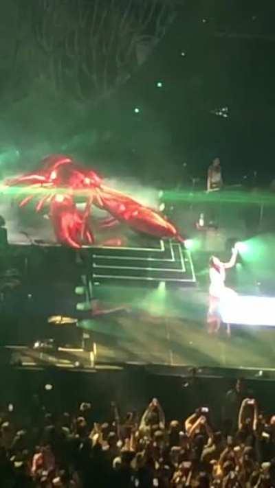 Dua Lipa Future Nostalgia Tour: Giant Lobster :O