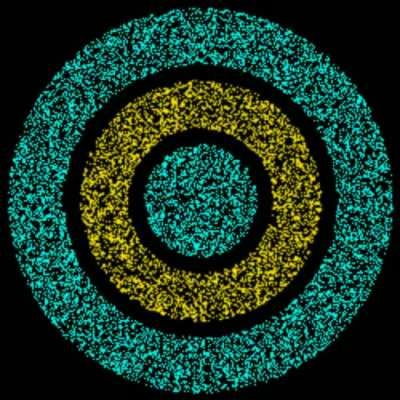 Chromostereopsis stereogram appears to move in 3d as colors change