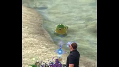 Friggin' frogs! : Pikmin || [dd] redd.tube