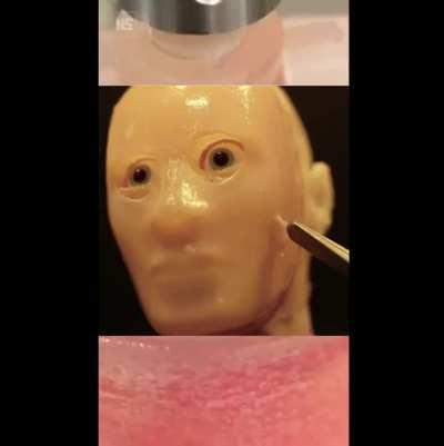 Scientists put living human skin on robot faces for some reason