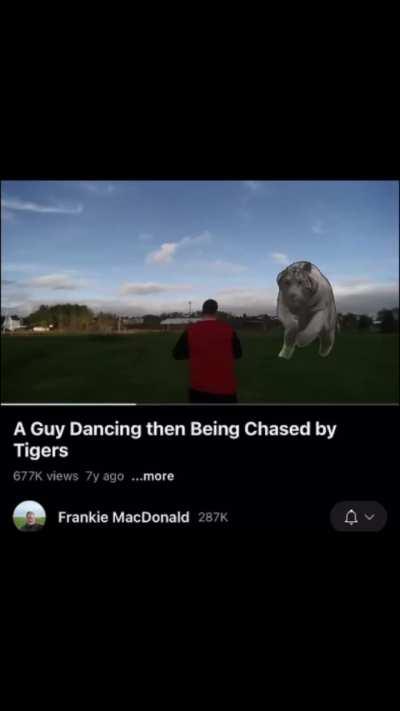 Hope he got away from those scary tigers !!