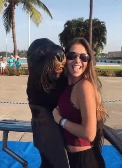 Sea lion imitates human