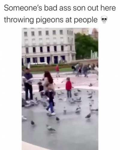 HMJB as I chuck pigeons at people