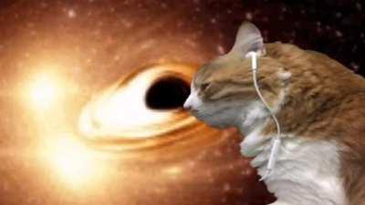 Katto going to black hole