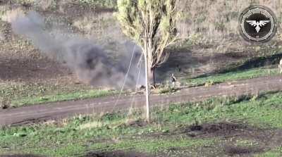 (UA) Strike Drones Company of the 47th Mechanized Brigade Targets a Group of Russian Troops Seeking Cover Behind a Tree