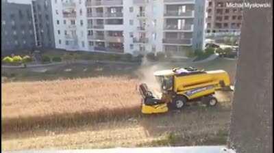 Polish farmer who refused to sell his land to developers harvests his field surrounded by apartments