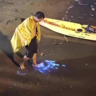 Walking Through Bioluminescence Beach