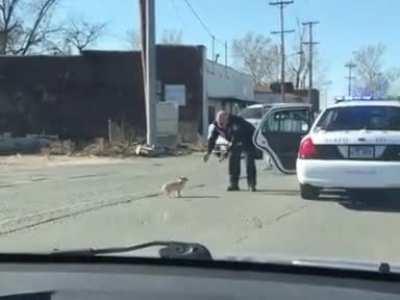 Police officer saves a frightened puppy