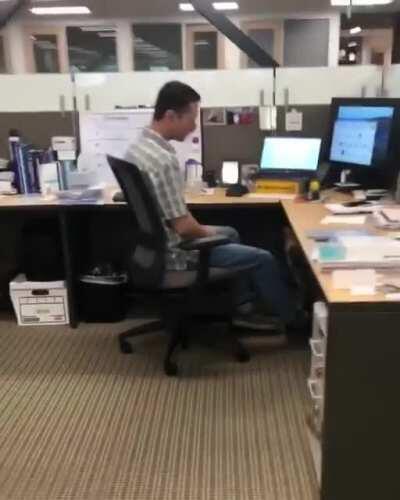 Friendliest good boy wants pets from everyone in the office